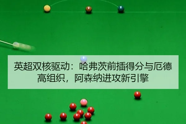 ying-chao-shuang-he-qu-dong-ha-fu-ci-qian-cha-de-fen-yu-e-de-gao-zu-zhi-a-sen-na-jin-gong-xin-yin-qing-2-478.jpg