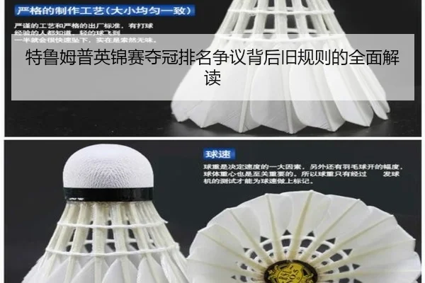 te-lu-mu-pu-ying-jin-sai-duo-guan-pai-ming-zheng-yi-bei-hou-jiu-gui-ze-de-quan-mian-jie-du-2-669.jpg