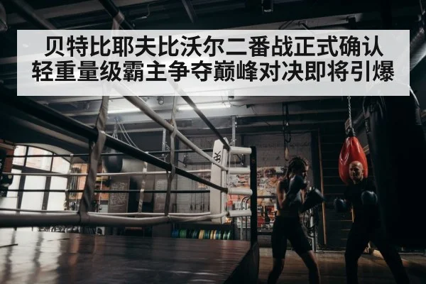 boxer training